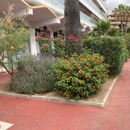 T2 Climatise Au Lavandou, Proche - Fr-1-308-199 * Le Lavandou