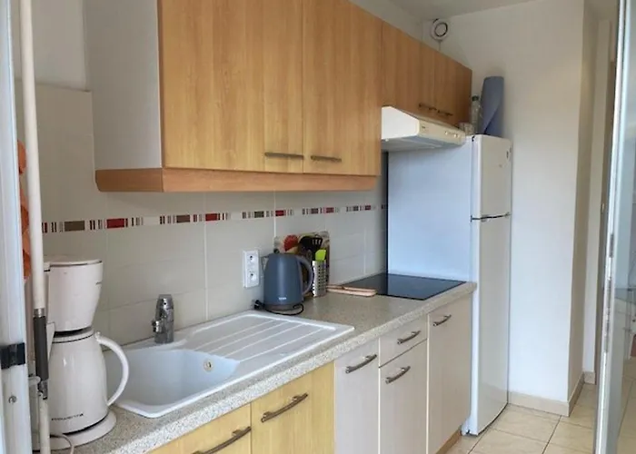 Apartman T2 Climatise Au Lavandou, Proche - Fr-1-308-199 *